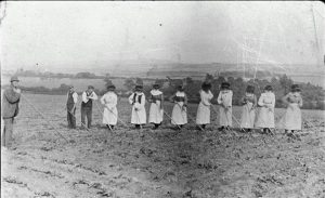 Bondagers in a Turnip field